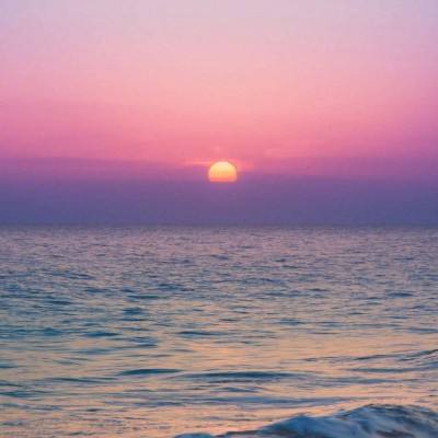 威尼斯会员登录