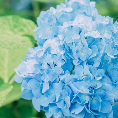 金星棋牌app下载