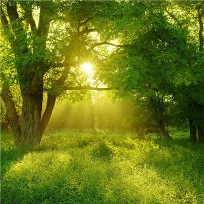 188金宝搏手机app下载截图